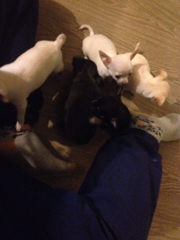 Актировка у малышей)