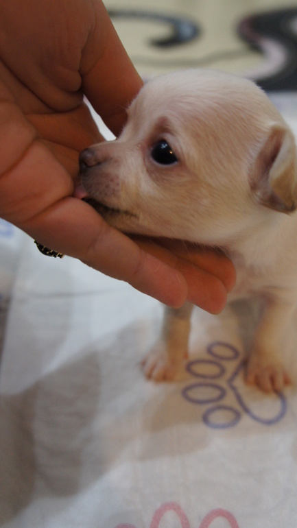 через 3 дня месяц)