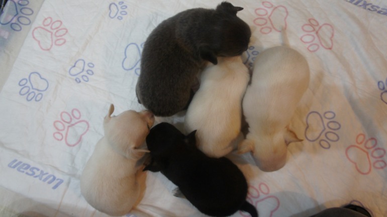 через 3 дня месяц)