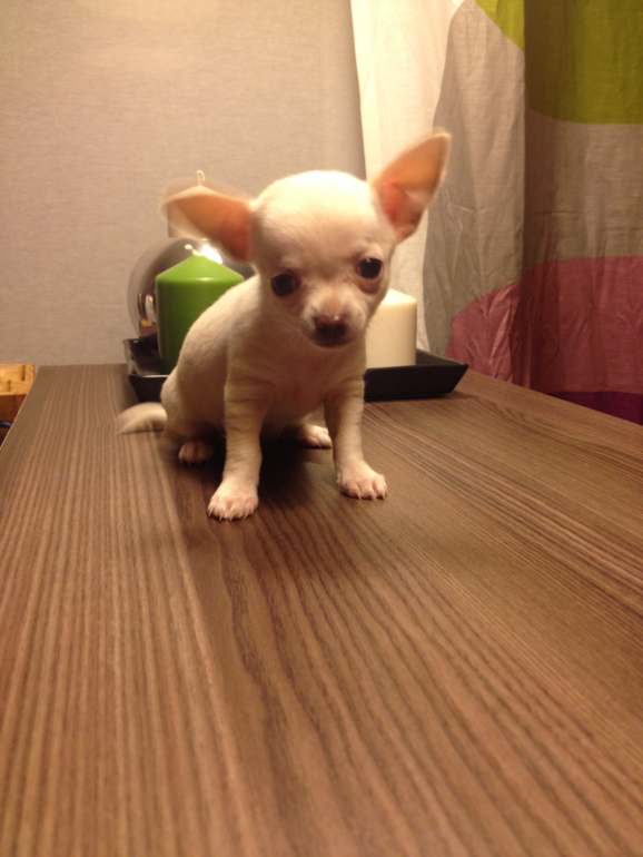 Актировка у малышей)