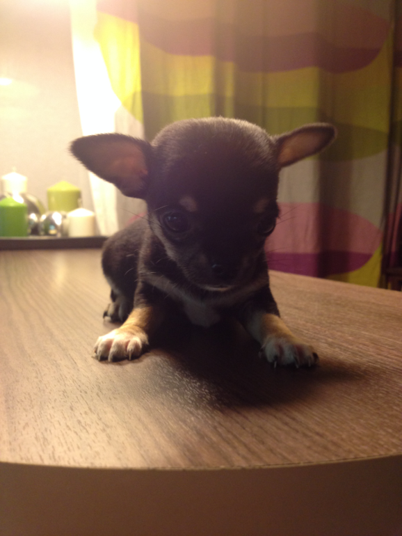 Актировка у малышей)