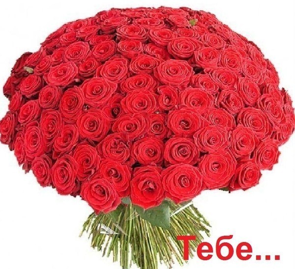 4912df03e5cc9183db9c84b9ed7ee1b8.jpg