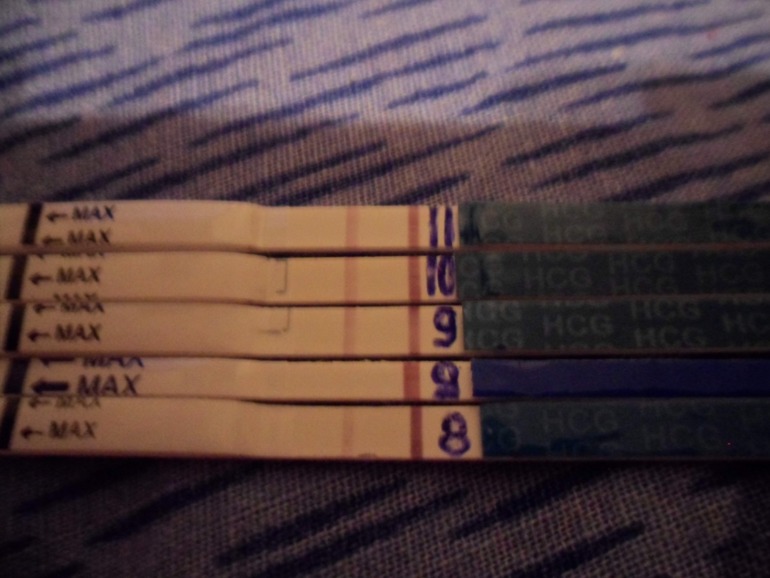 Мой беременный протокол)