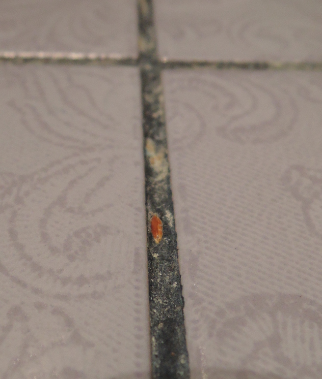 затирка на полу в туалете