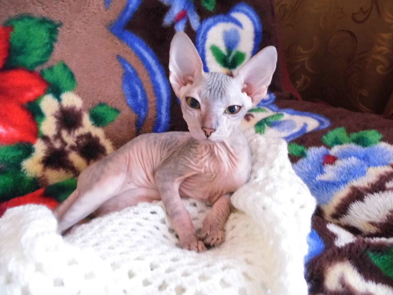 знакомьтесь это наша малышка