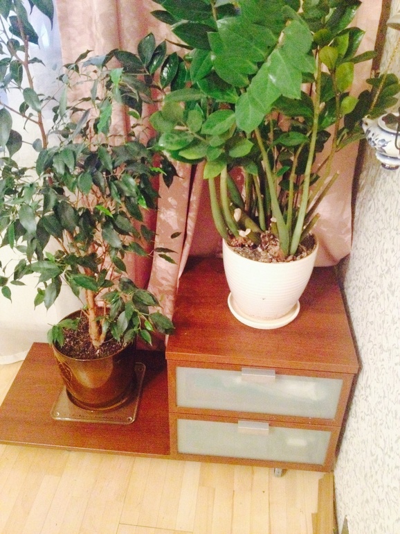 Взлет 69 день 6 (хот-спот)