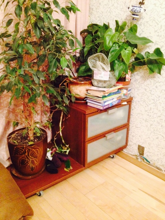 Взлет 69 день 6 (хот-спот)