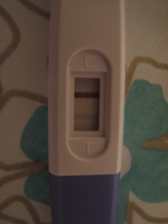 загадка природы...или наши 4 месяца.