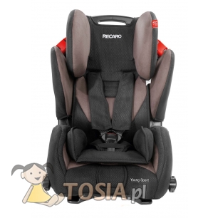 Romer Xtensafix 9-36kg или Cybex Pallas 2-Fix 9-36kg