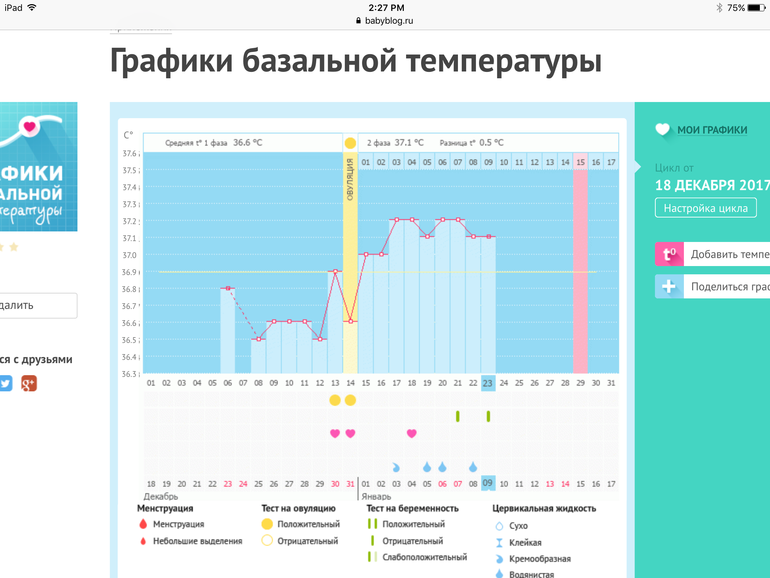 Программа бт беларусь на сегодня