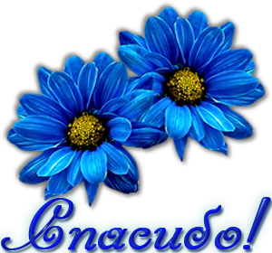 957c0081d87f605e14207df40ea98309.png