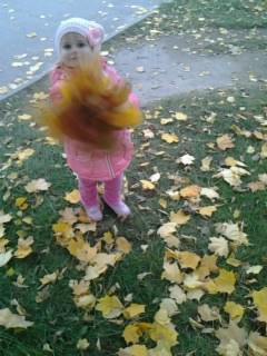 Собирали букет бабушке !!! Или ... осенняя прогулка ( фото с телефона ) ...