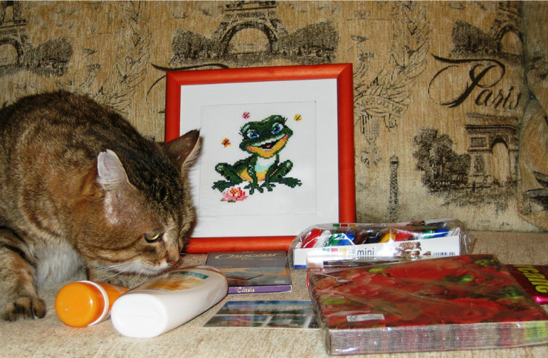 У Р Р Р Р А!!! Прилетела моя лягушка-путешественница!