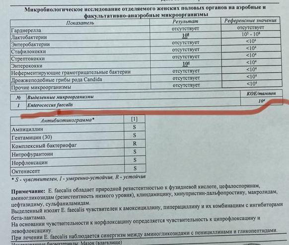 Enterococcus faecalis (качественный метод)