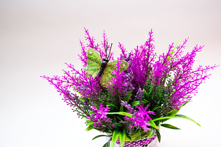 Запах лаванды