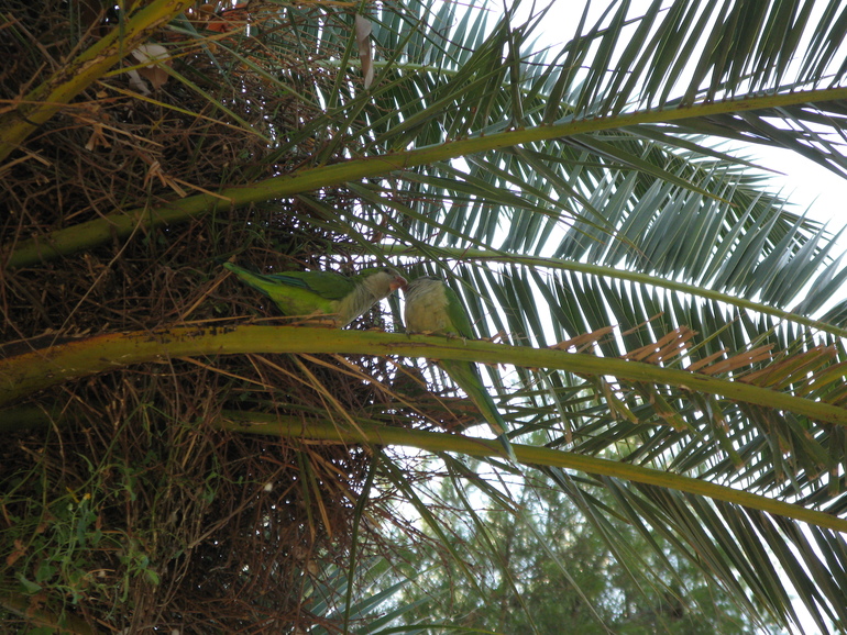 Экскурсия в Барселону. Сентябрь 2013 г.