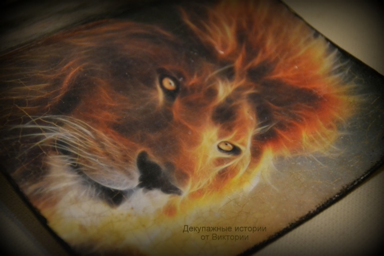 Я твой лев, ты моя львица!