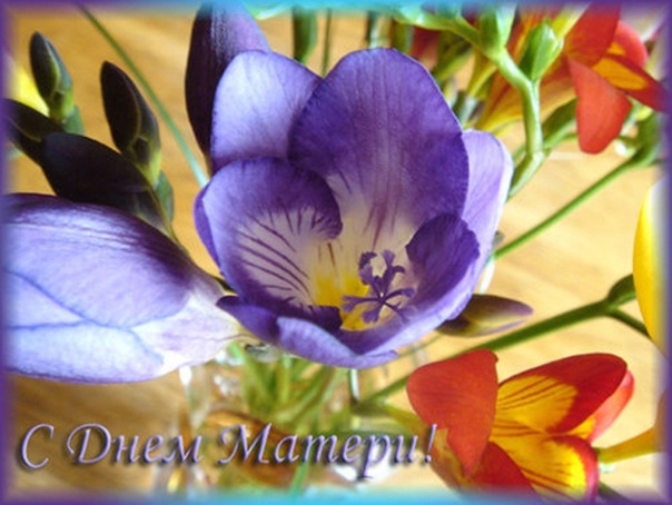 Всем мамам...кто уже и будущим