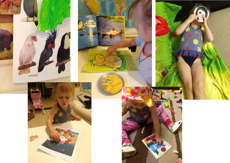 ТН Африка - продолжение