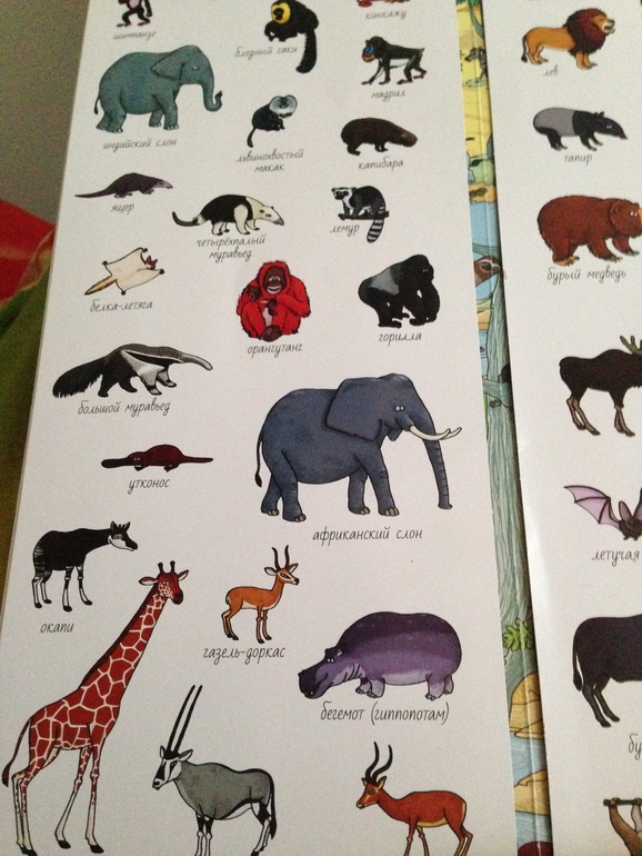 ТН - АФРИКА , 1 день Знакомство с материком + Моторика (в рамках ФМ)