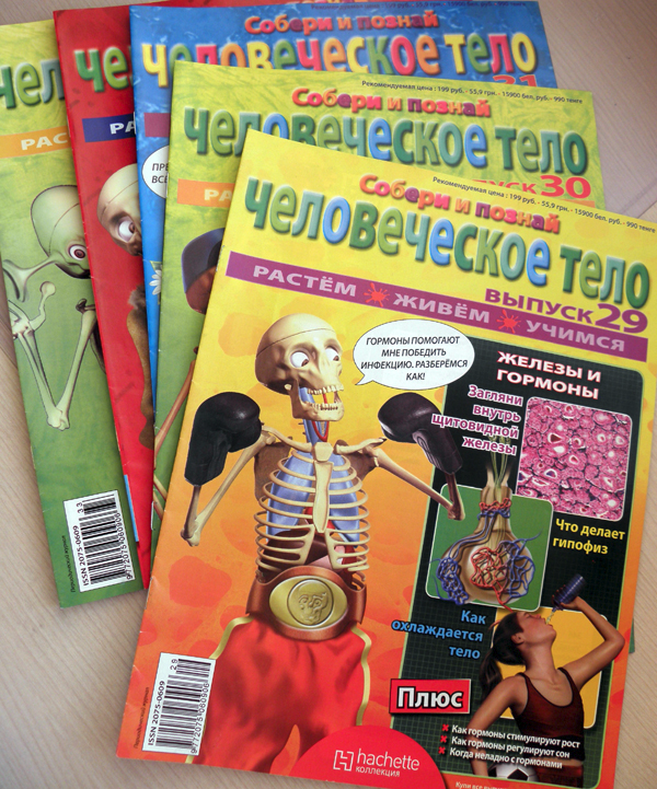 ТН - ТЕЛО ЧЕЛОВЕКА