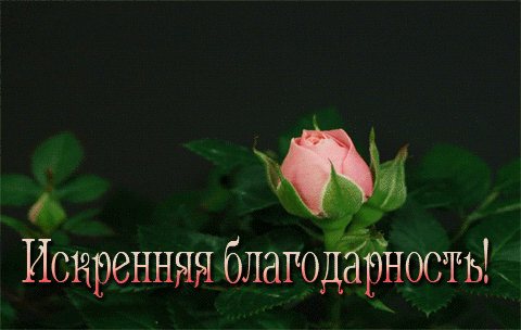 5e52adb3534a8b295aa2096694bdee91.gif