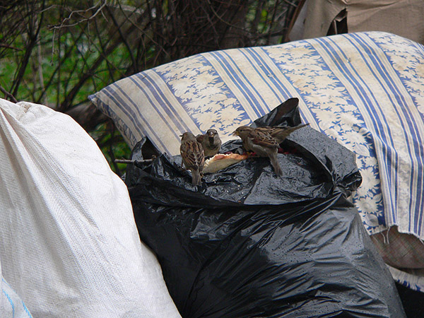 На прогулке (фото)