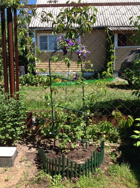 5a038366e8278d9b1dc39a09ae8ff9aa.jpg