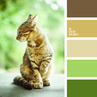 Определяюсь...