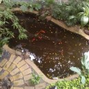 Сказочный Тай. ПАТТАЯ. Туры, спец.предложения, отели, экскурсии.