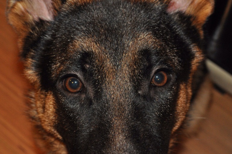 Рррррастееет!!