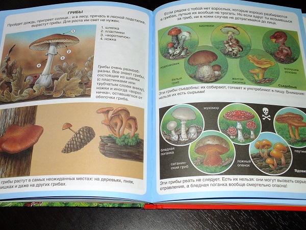 Совсем немного из последних приобретений