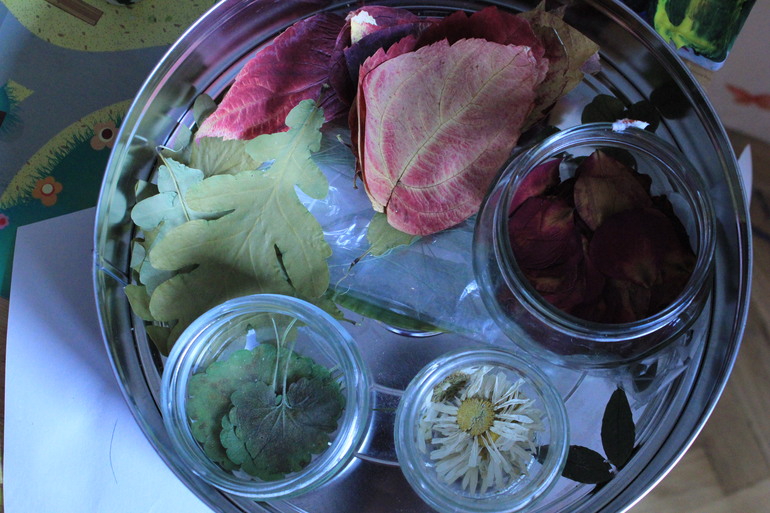 Куда деть сухие листочки