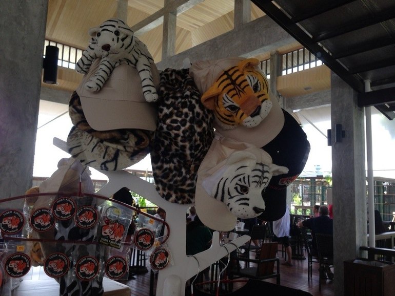 Парк Тигров на Пхукете «Tiger Kingdom»