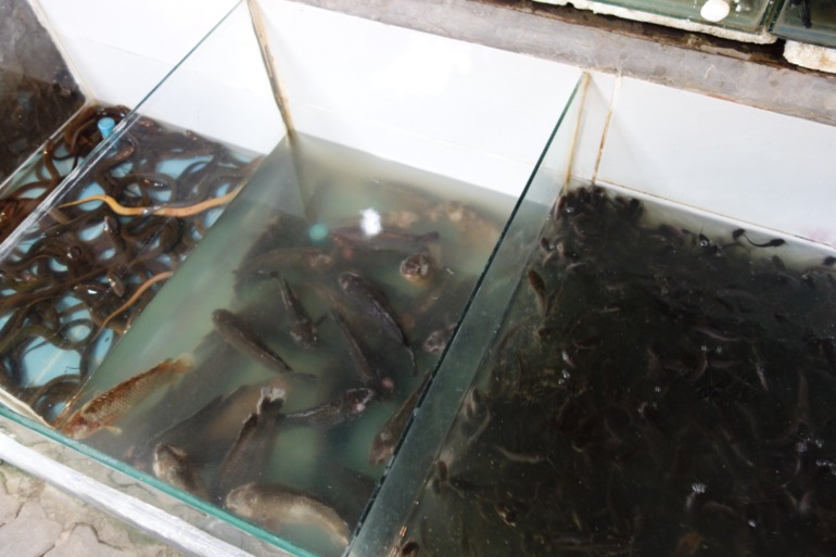 Москва-Бангкок-Пхукет-Самуи-Пхукет-Бангкок-Москва (много фото)