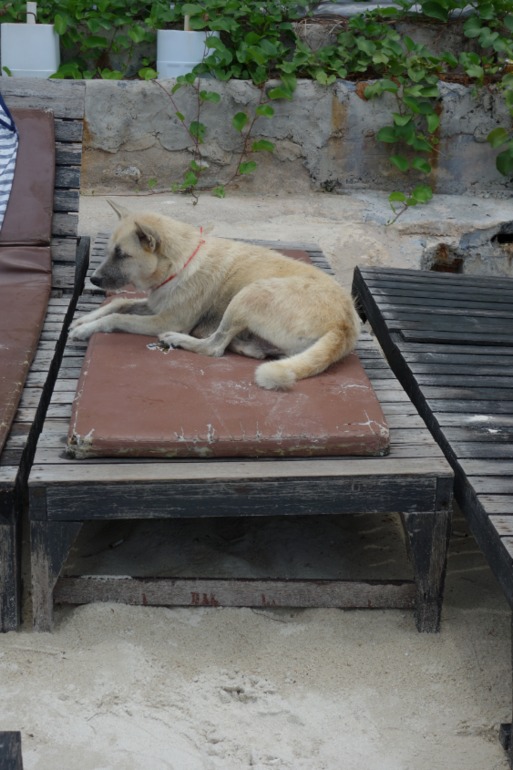 Москва-Бангкок-Пхукет-Самуи-Пхукет-Бангкок-Москва (много фото)