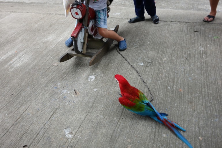 Москва-Бангкок-Пхукет-Самуи-Пхукет-Бангкок-Москва (много фото)