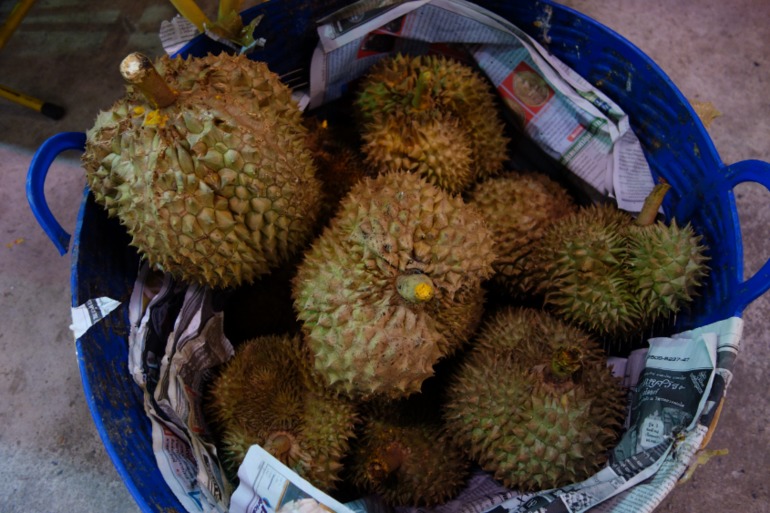 Москва-Бангкок-Пхукет-Самуи-Пхукет-Бангкок-Москва (много фото)