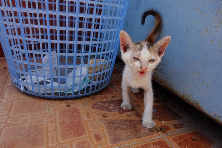 Москва-Бангкок-Пхукет-Самуи-Пхукет-Бангкок-Москва (много фото)