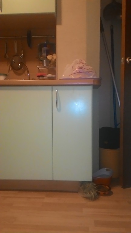 1ccc0b40fc1e71406ace32a36c16e340.jpg