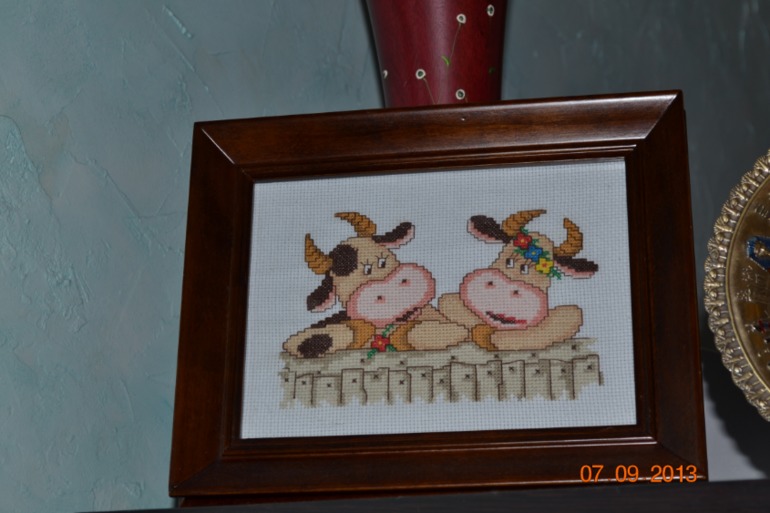 Коровки мои