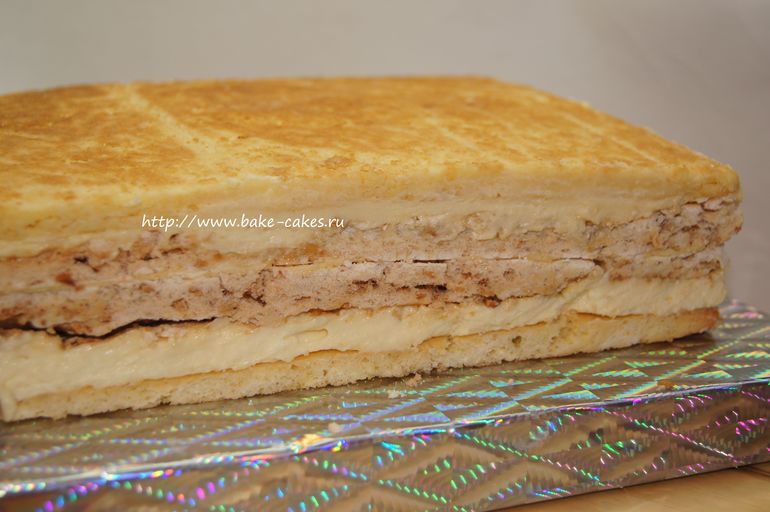 Котенок Гав