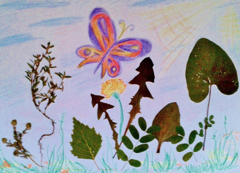 наш семейный гербарий ))