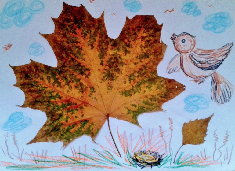 наш семейный гербарий ))