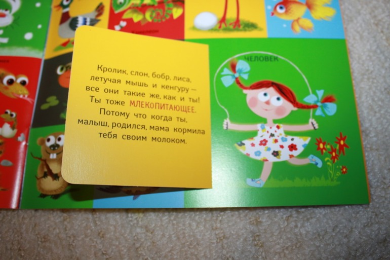 ee1920626975c2002fddc0cc423c2418.jpg