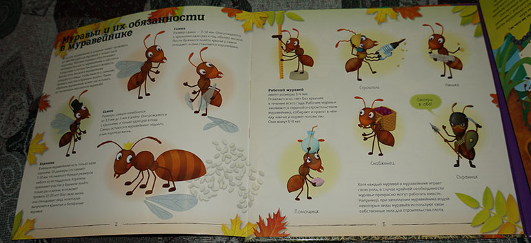 Схема слова муравьи. Крем пчела и муравей. Про пчёл муравьёв книга. Выбери вариант муравей поиграть или еще в пчел.
