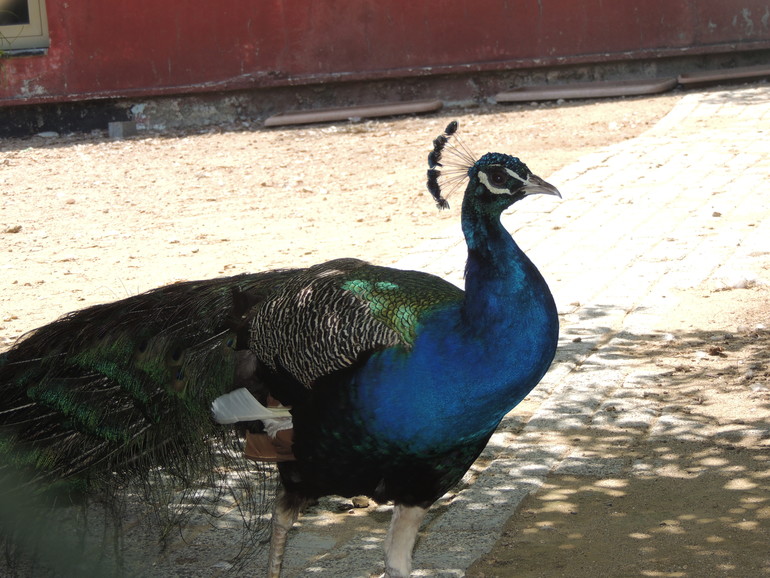 Наша поездка в Турцию в мае 2013 года