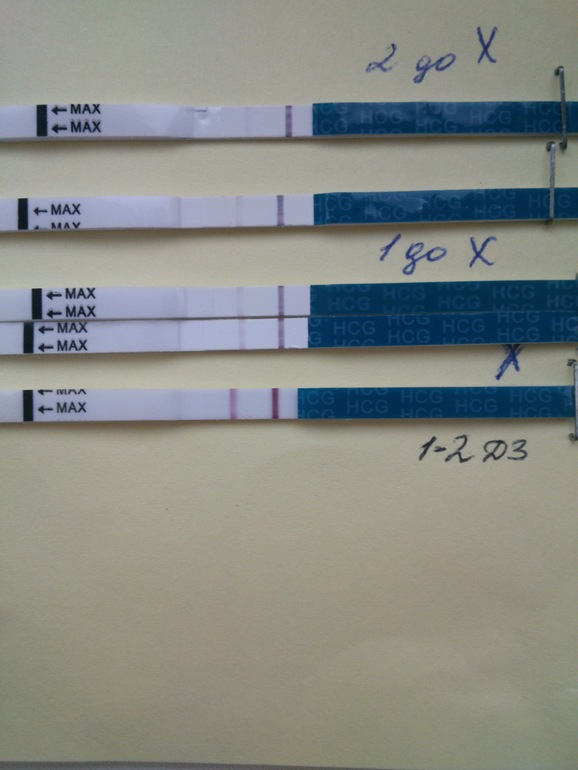 я вот что заметила))