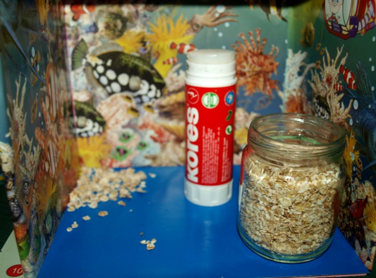 Подводный мир