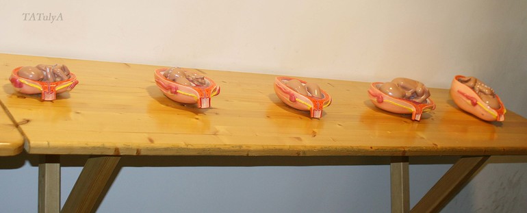 Экспериментаниум (часть 2).